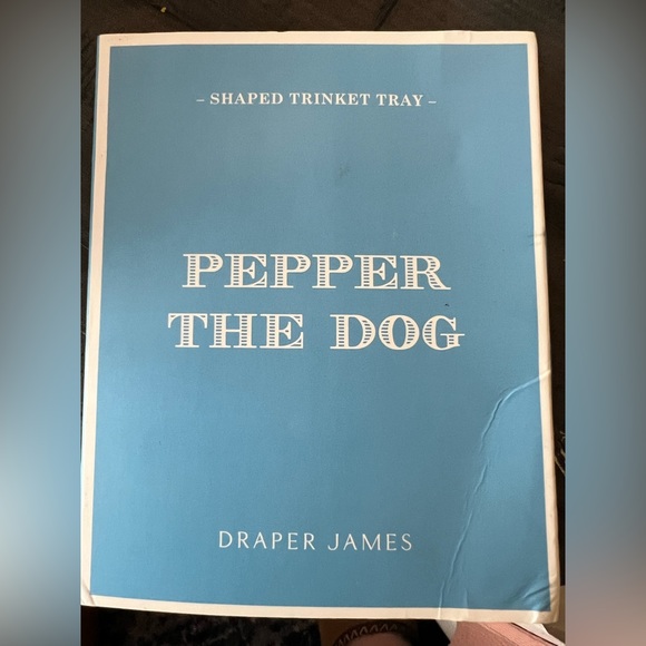 Draper James Pepper the Frenchie Accent Trinket Tray - NEW - Picture 2 of 5